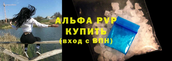 амф Верея