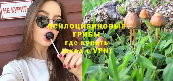 прущие грибы Верхний Тагил